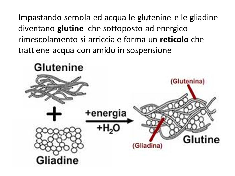 Glutine Farina